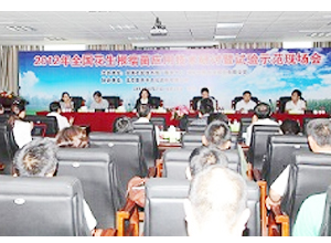 DG真人成功主办2012年全国花生根瘤菌利用技术钻研暨试验示范现场会